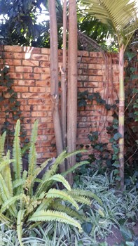 khaya africa guesthouse and spa