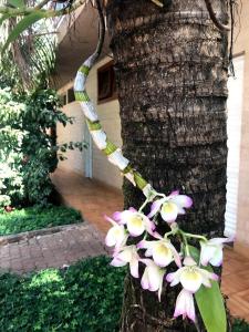ribeirao preto