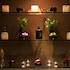 grand 5 hotel and plaza sukhumvit bangkok
