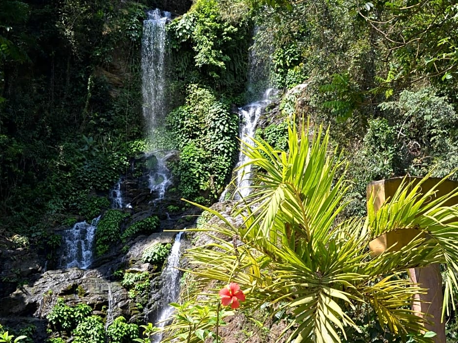 white beach hotel bar and restaurant
