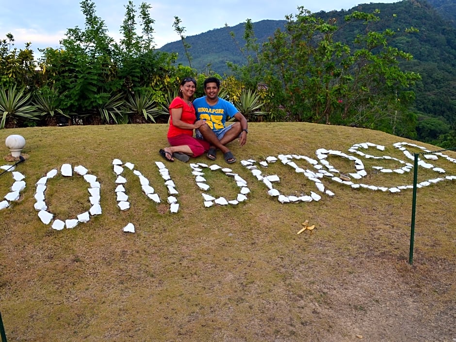 white beach hotel bar and restaurant