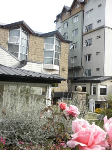 patagonia sur hotel
