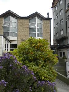 patagonia sur hotel