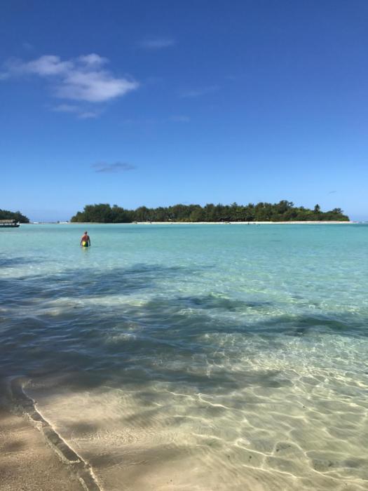muri shores