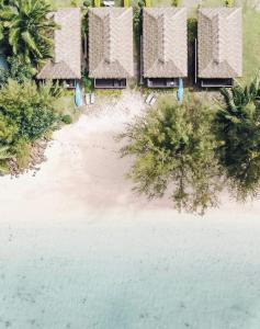 rarotonga