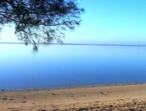 muri shores