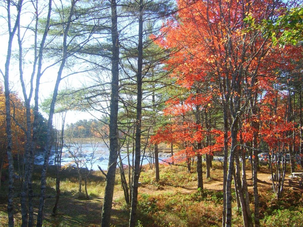 roseway river cottages