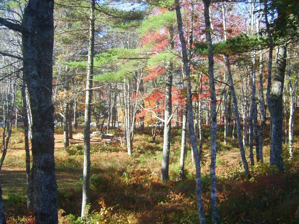 roseway river cottages