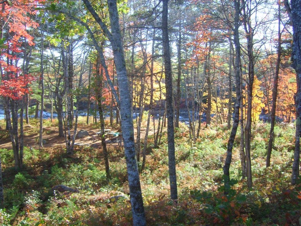 roseway river cottages
