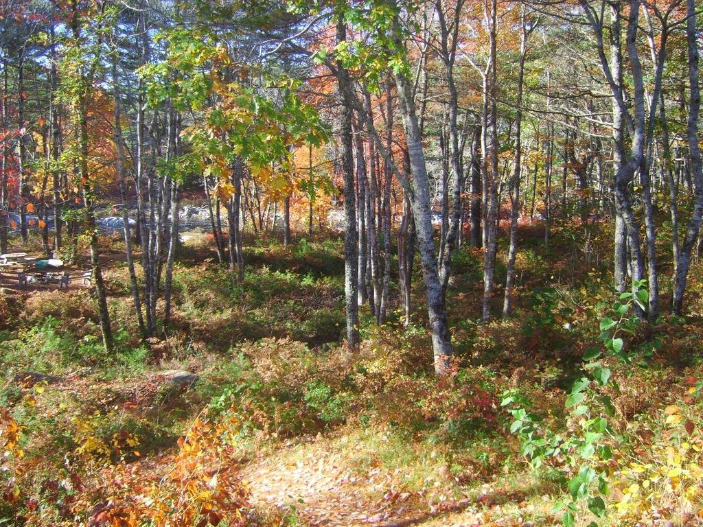 roseway river cottages