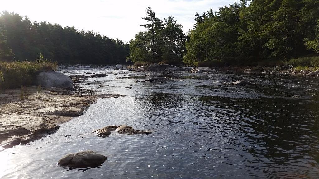 roseway river cottages