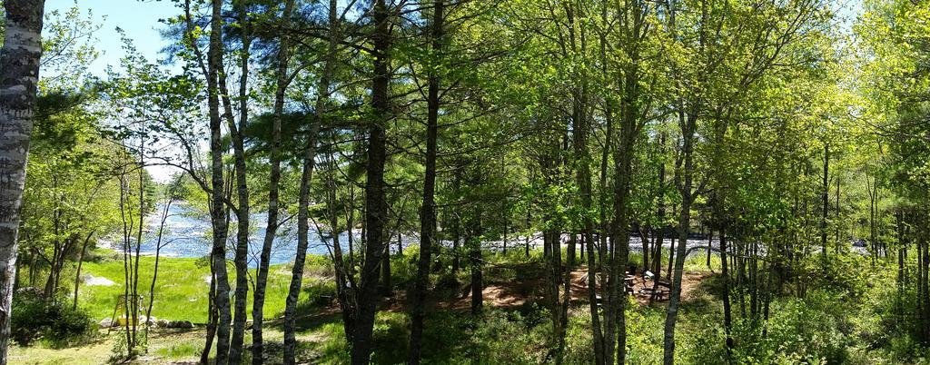 Roseway River Cottages,,3 star