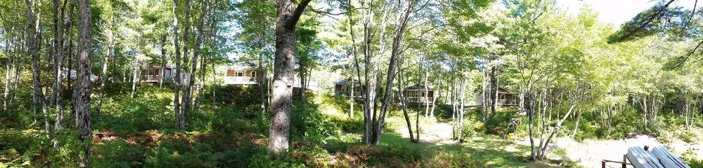 Roseway River Cottages,,3 star