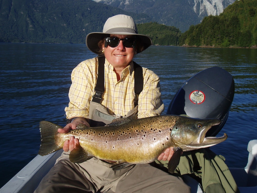 yelcho en la patagonia