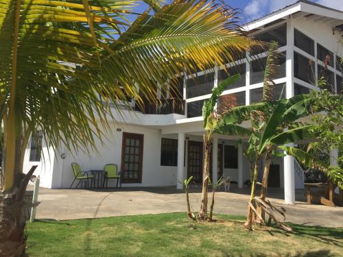 Bamboleo Inn Belize,,3 star