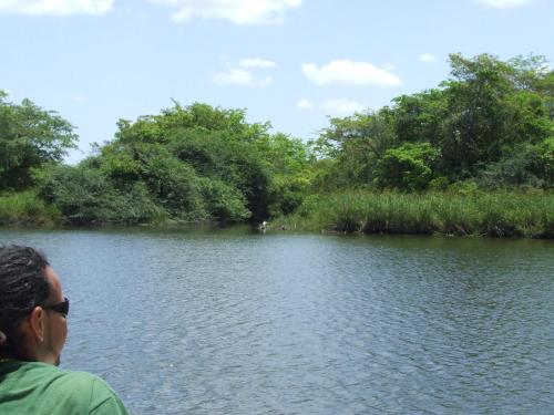 lamanai landings hotel and marina