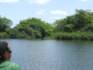 lamanai landings hotel and marina