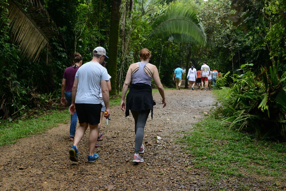 lamanai landings hotel and marina