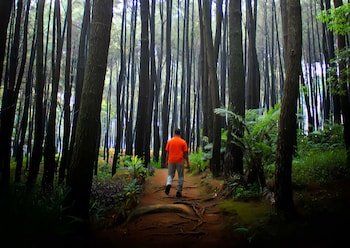 harris hotel sentul city bogor