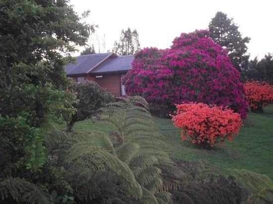 cabanas parque del lago