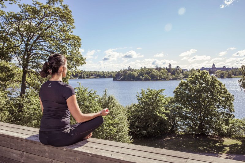 radisson blu royal park hotel stockholm