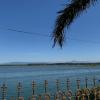 blue waters resort