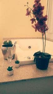 pousada casa das flores