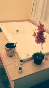 pousada casa das flores