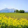 Hotel Residence Eden,Chieti>>Abruzzo,3 star