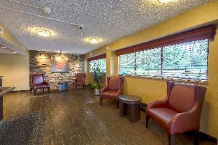 Red Roof Inn Plus+ West Springfield,Hampden>>Chicopee,3 star