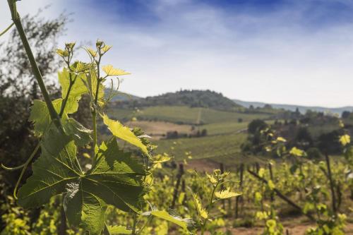 relais santa cristina