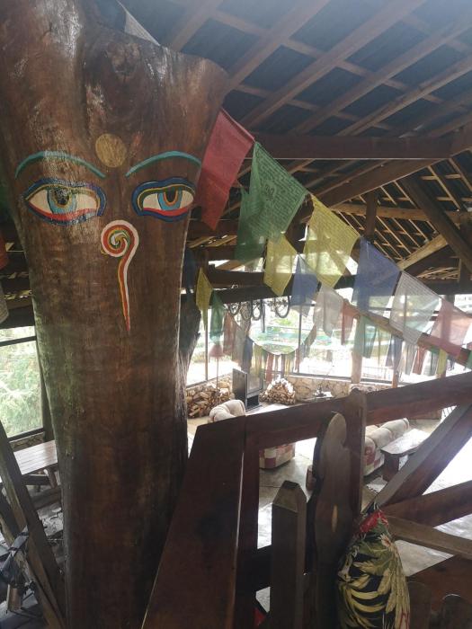 alive eco hut