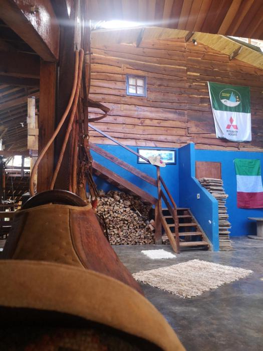 alive eco hut