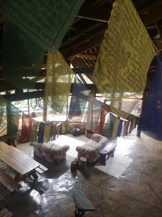 alive eco hut