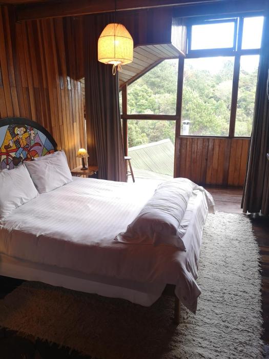 alive eco hut