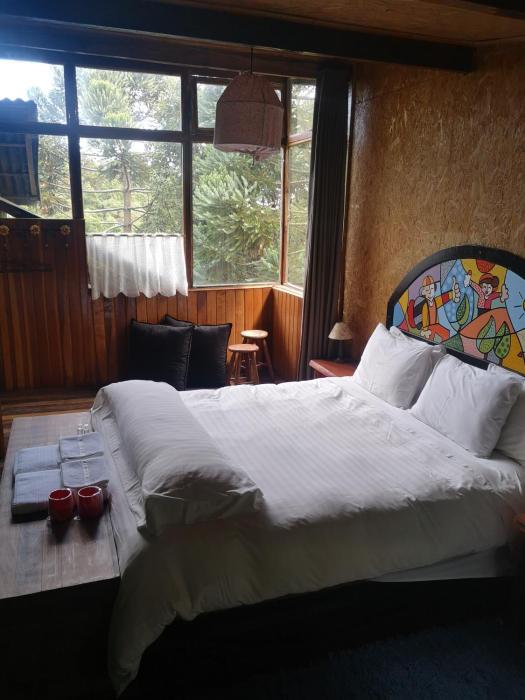 alive eco hut
