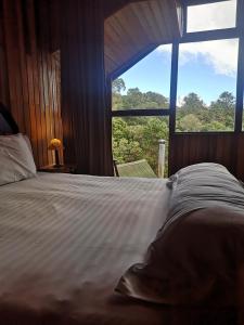 camanducaia