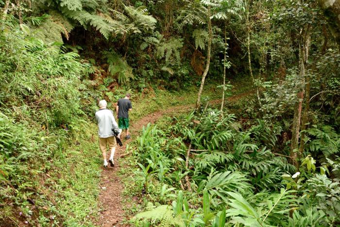 pousada espelho dagua