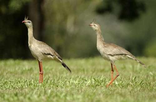 pousada espelho dagua