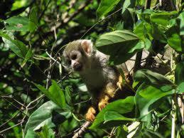 pousada espelho dagua