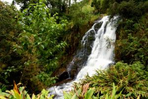 pousada espelho dagua