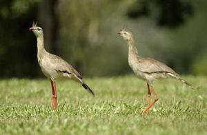 pousada espelho dagua