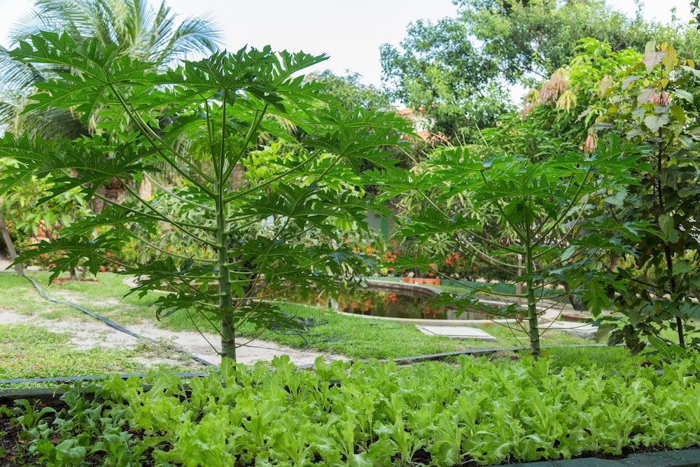 pousada rancho das dunas