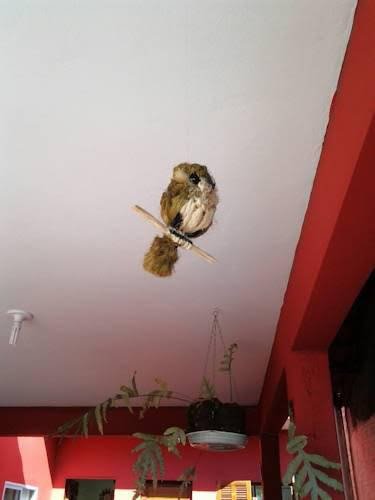 pousada executiva solriso