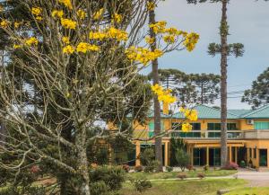 lagoa parque hotel
