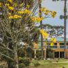 lagoa parque hotel