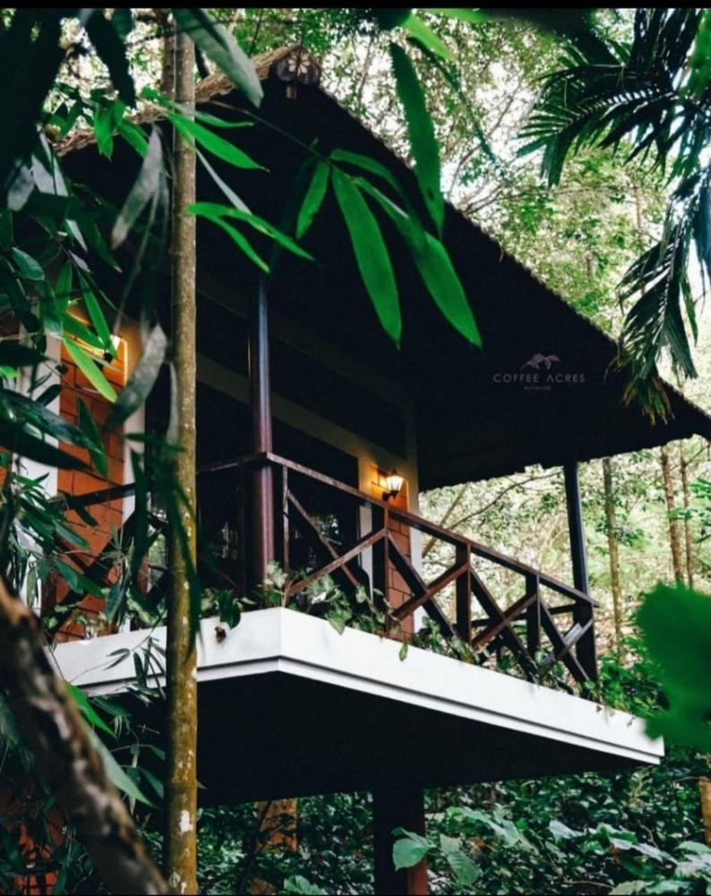kalpetta
