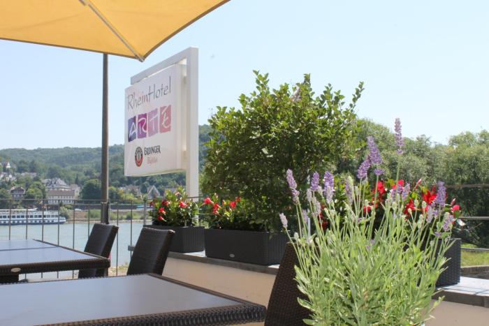 rheinhotel arte
