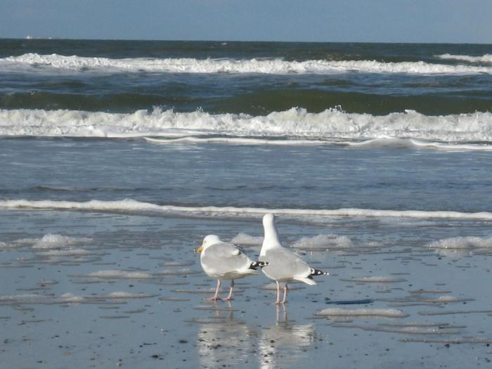 ringhotel residenz wittmund