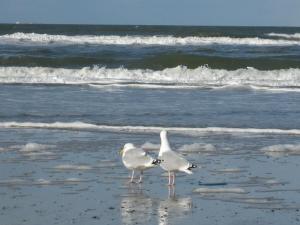 ringhotel residenz wittmund